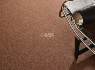 Bloq Tradition Tradition 930 фото 2 | FLOORDEALER